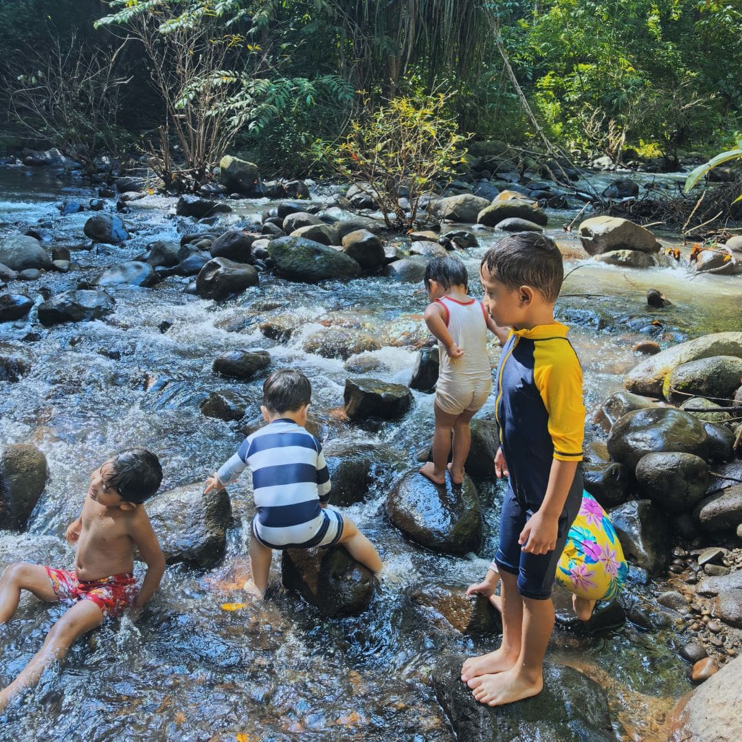 Wee Wildlings™ Forest Program (2-5 years old) - Image 5