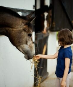 Wild Hooves: Trailblazer’s Escape