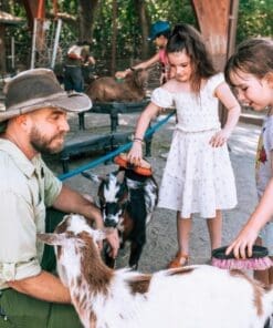 Guardians of the Wild: A Sustainable Animal Encounter