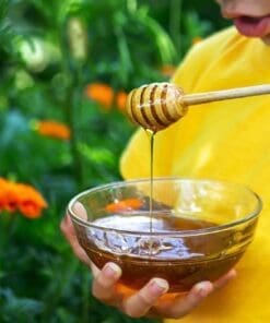 Naturepreneurship: Forest Honey with the Aeta community