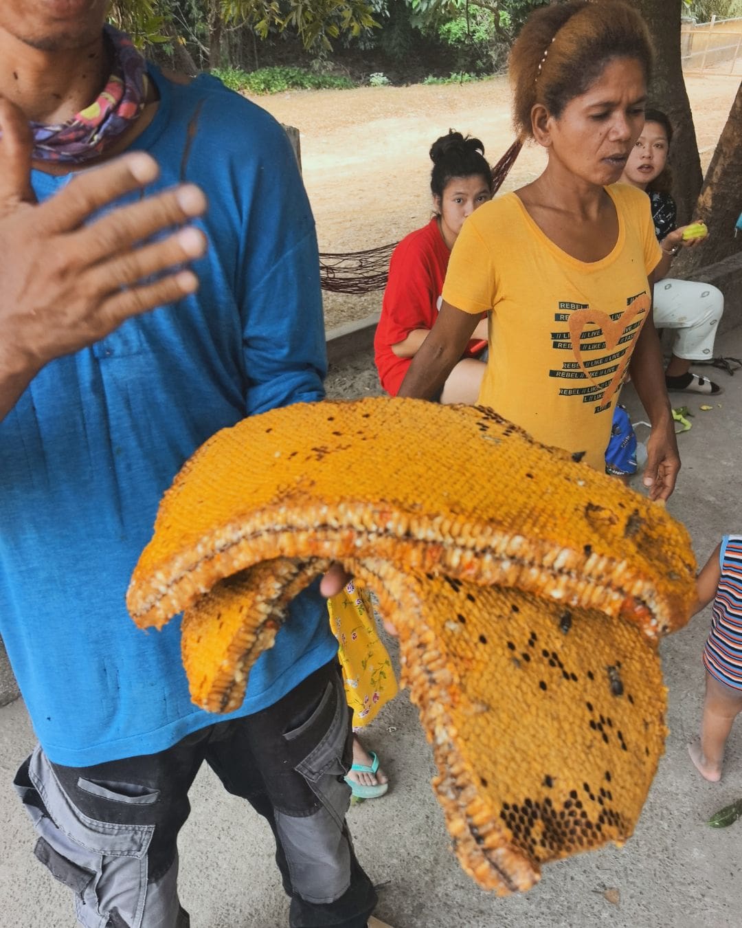 Ani ng Gubat (Wild Honey from Subic Bay, Philippines) - Image 13