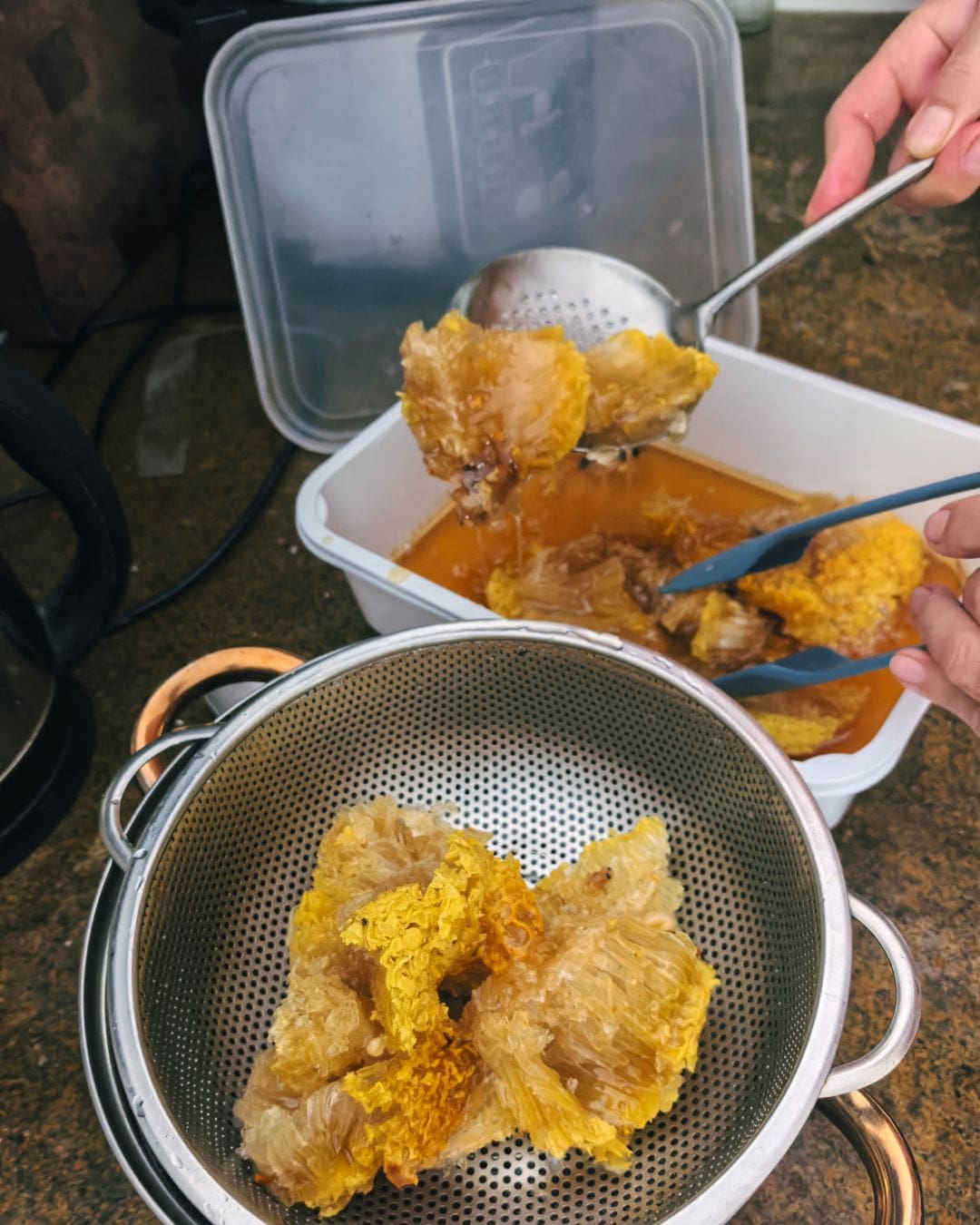 Ani ng Gubat (Wild Honey from Subic Bay, Philippines) - Image 4