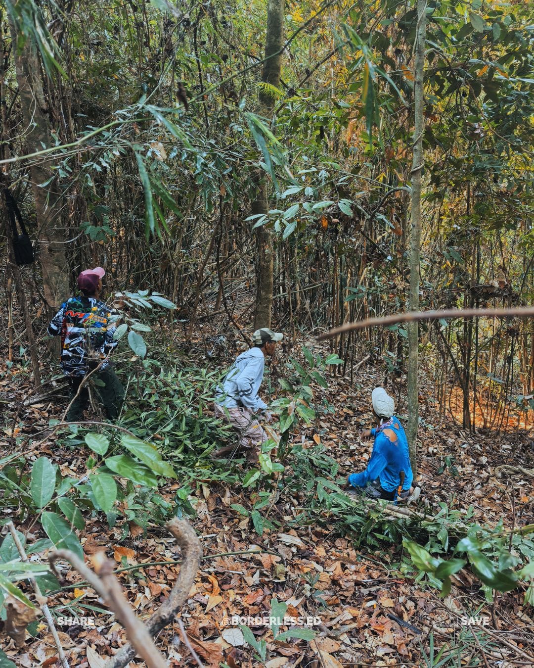 Ani ng Gubat (Wild Honey from Subic Bay, Philippines) - Image 11