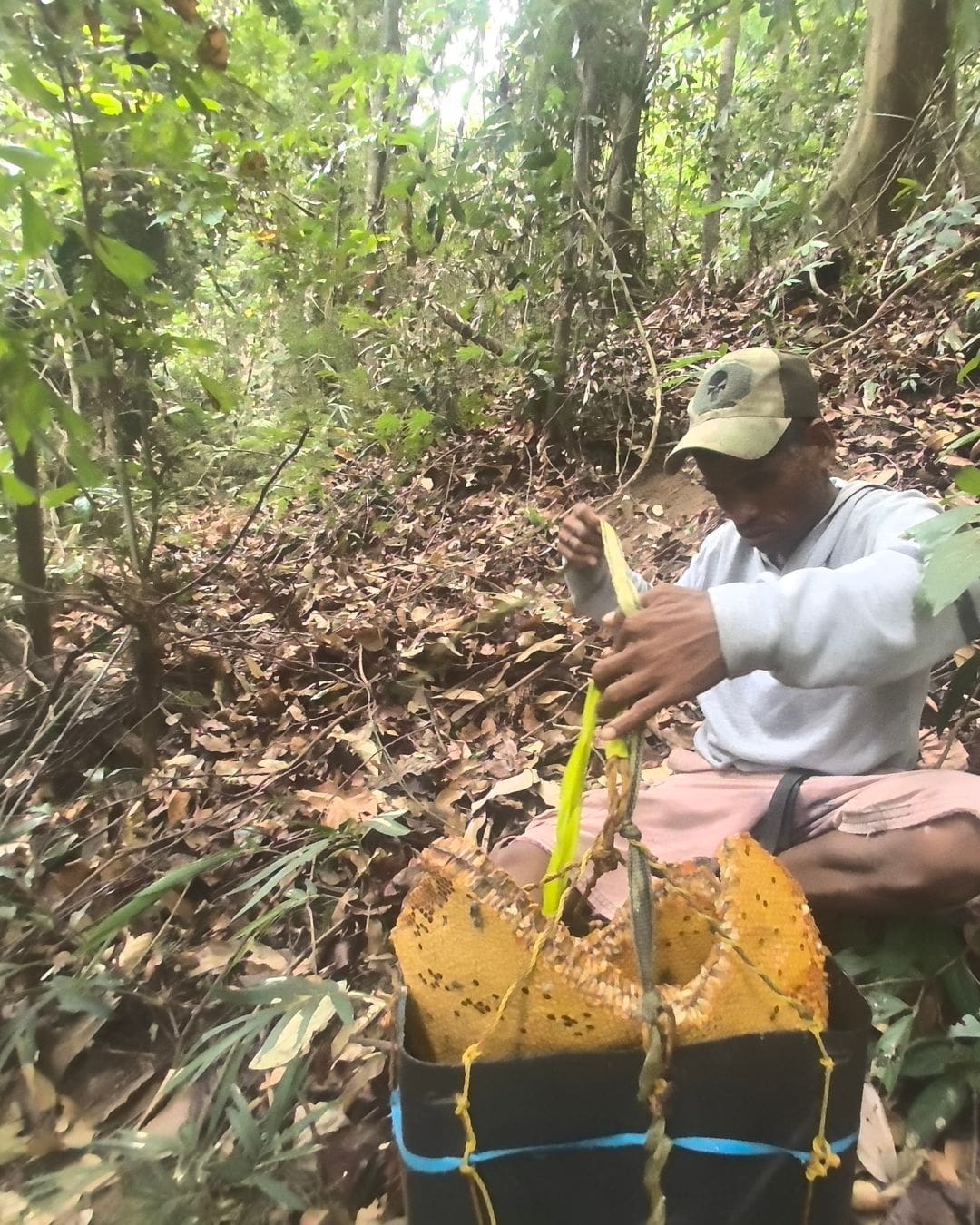 Ani ng Gubat (Wild Honey from Subic Bay, Philippines) - Image 7