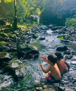 Forest Bathing (families with kids 1-16 years old)